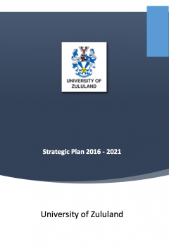 strategic plan